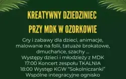 Zdjęcie do Kreatywny dziedziniec przy Młodzieżowym Domu...